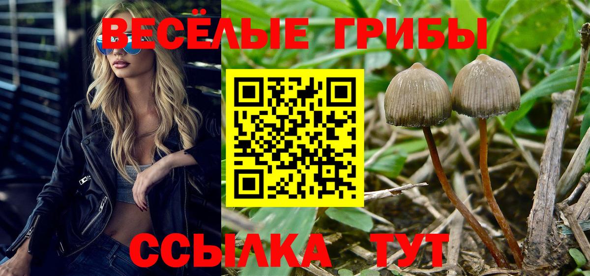 Орехово-Зуево  Галлюциногенные грибы ЛСД  Галлюциногенные грибы MAGIC MUSHROOMS  Вход с VPN 